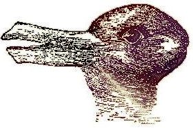 duck.gif (33614 bytes)